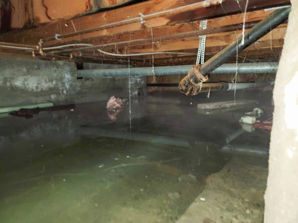 Best Water damage restoration near me  in Suwanee, GA