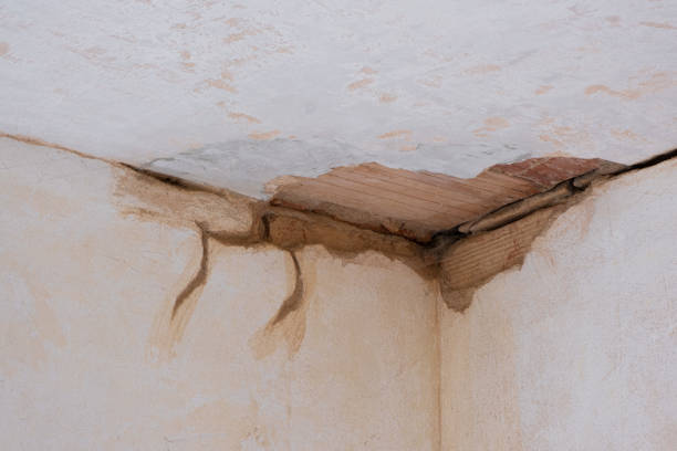 Best 24-hour water damage restoration  in Suwanee, GA
