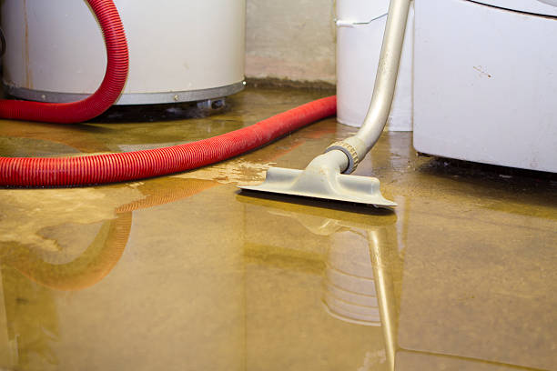 Best Mold removal after water damage  in Suwanee, GA