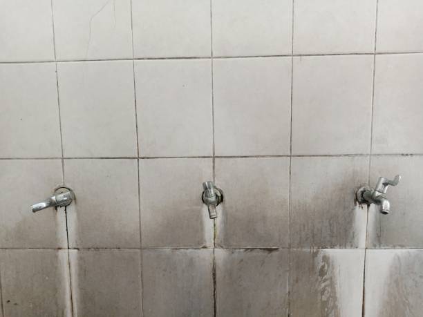 Best Water damage contractors near me  in Suwanee, GA