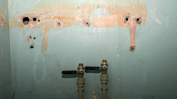 Best Commercial water damage restoration  in Suwanee, GA