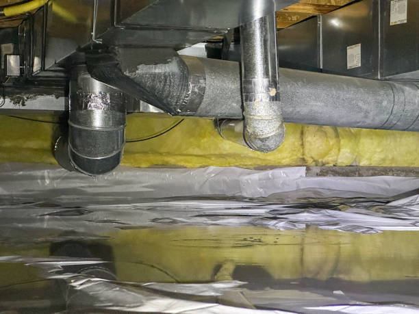 Best Mold removal after water damage  in Suwanee, GA