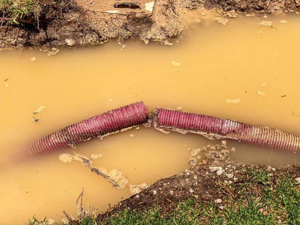 Best 24/7 water damage repair  in Suwanee, GA