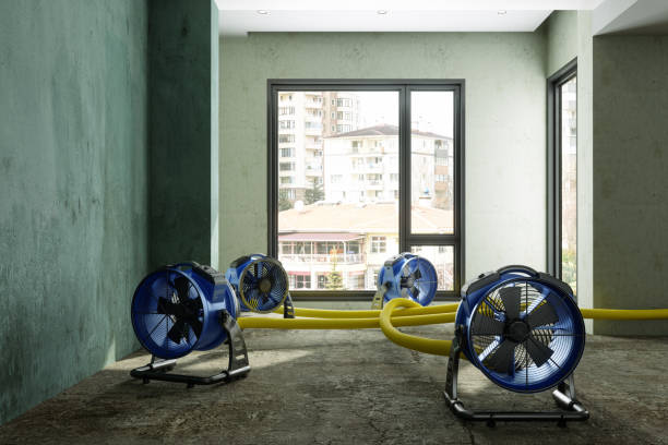 Best Water damage restoration mold remediation  in Suwanee, GA